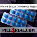 Píldora Sexual De Hormiga Negra viagra2